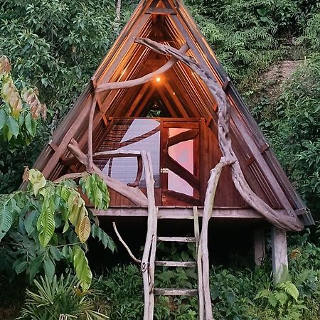 Jungle Roots Otel Tena Dış mekan fotoğraf