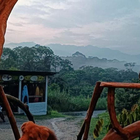 Jungle Roots Otel Tena Dış mekan fotoğraf