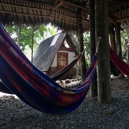 Jungle Roots Otel Tena Dış mekan fotoğraf