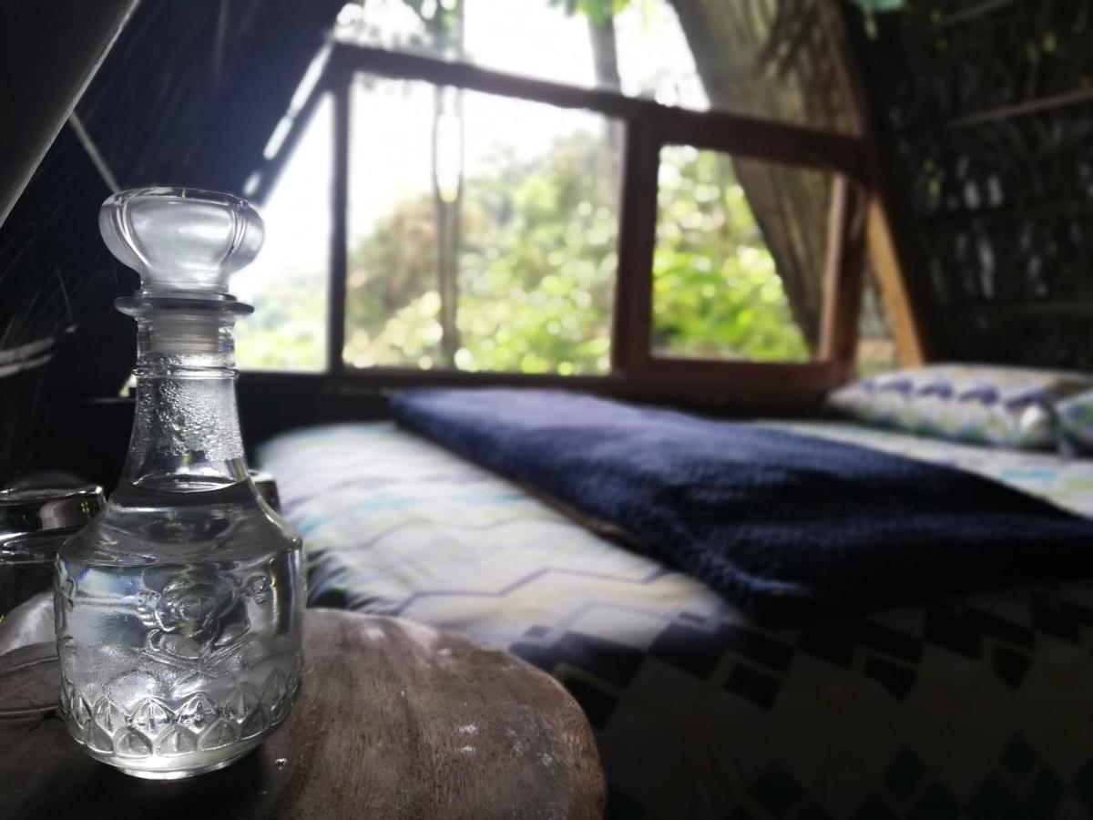 Jungle Roots Otel Tena Dış mekan fotoğraf