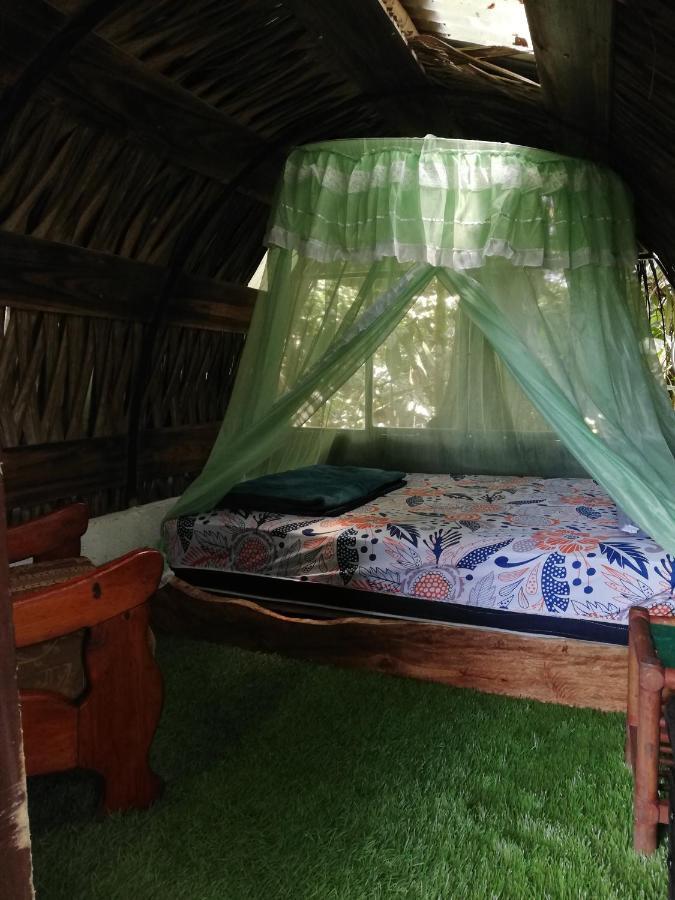 Jungle Roots Otel Tena Dış mekan fotoğraf