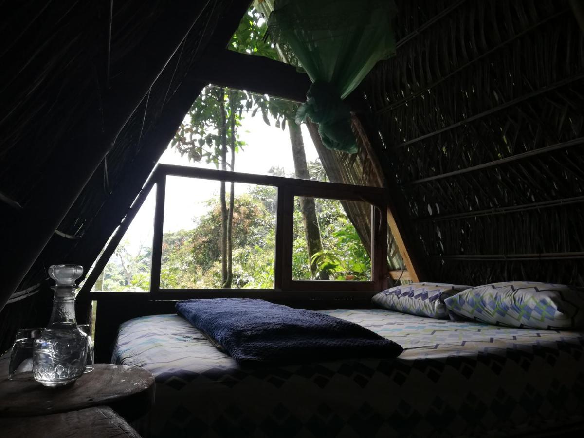 Jungle Roots Otel Tena Dış mekan fotoğraf