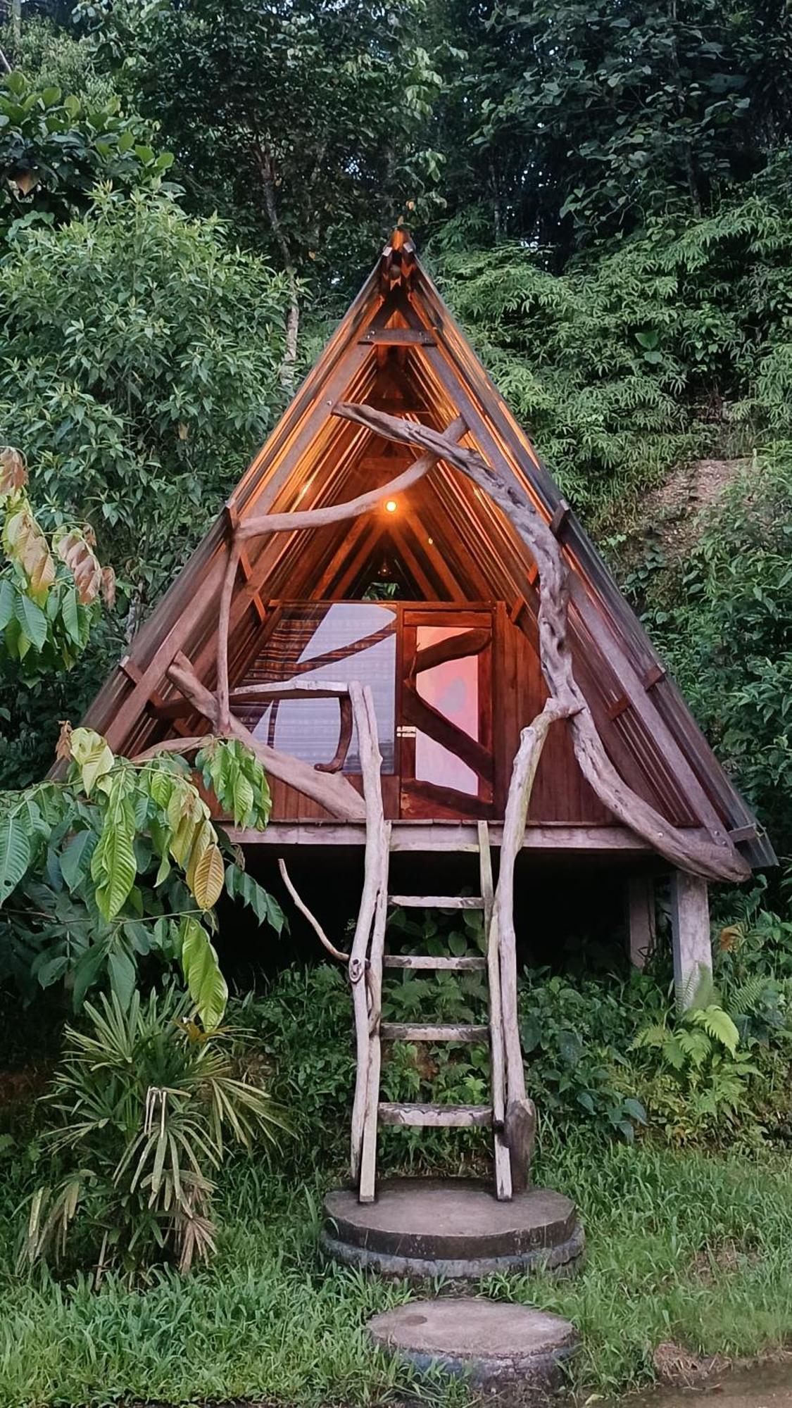 Jungle Roots Otel Tena Dış mekan fotoğraf