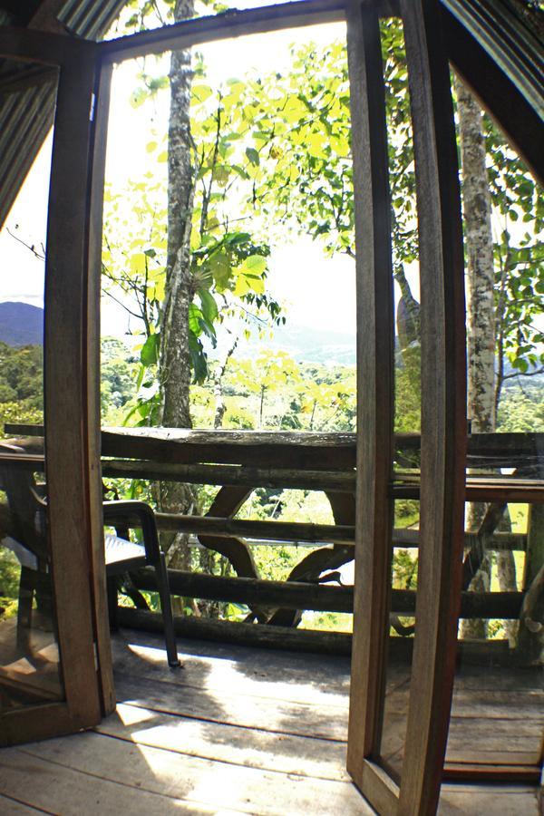 Jungle Roots Otel Tena Dış mekan fotoğraf