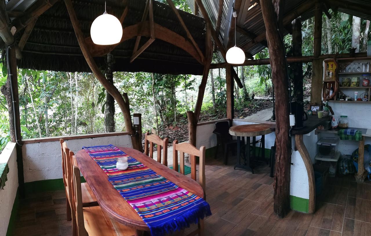 Jungle Roots Otel Tena Dış mekan fotoğraf