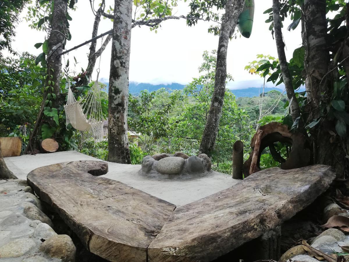 Jungle Roots Otel Tena Dış mekan fotoğraf