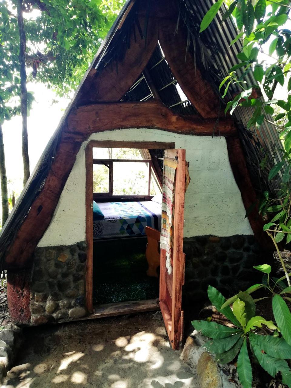Jungle Roots Otel Tena Dış mekan fotoğraf