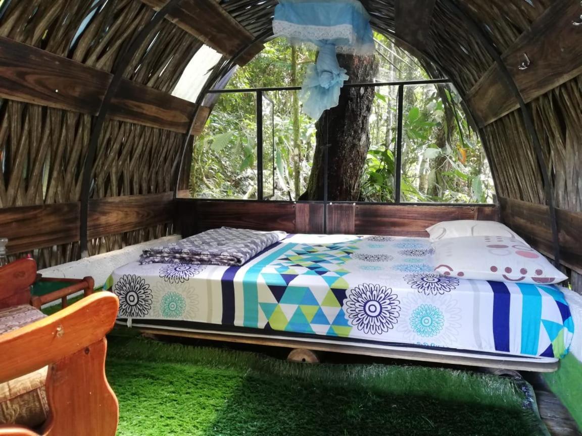 Jungle Roots Otel Tena Dış mekan fotoğraf