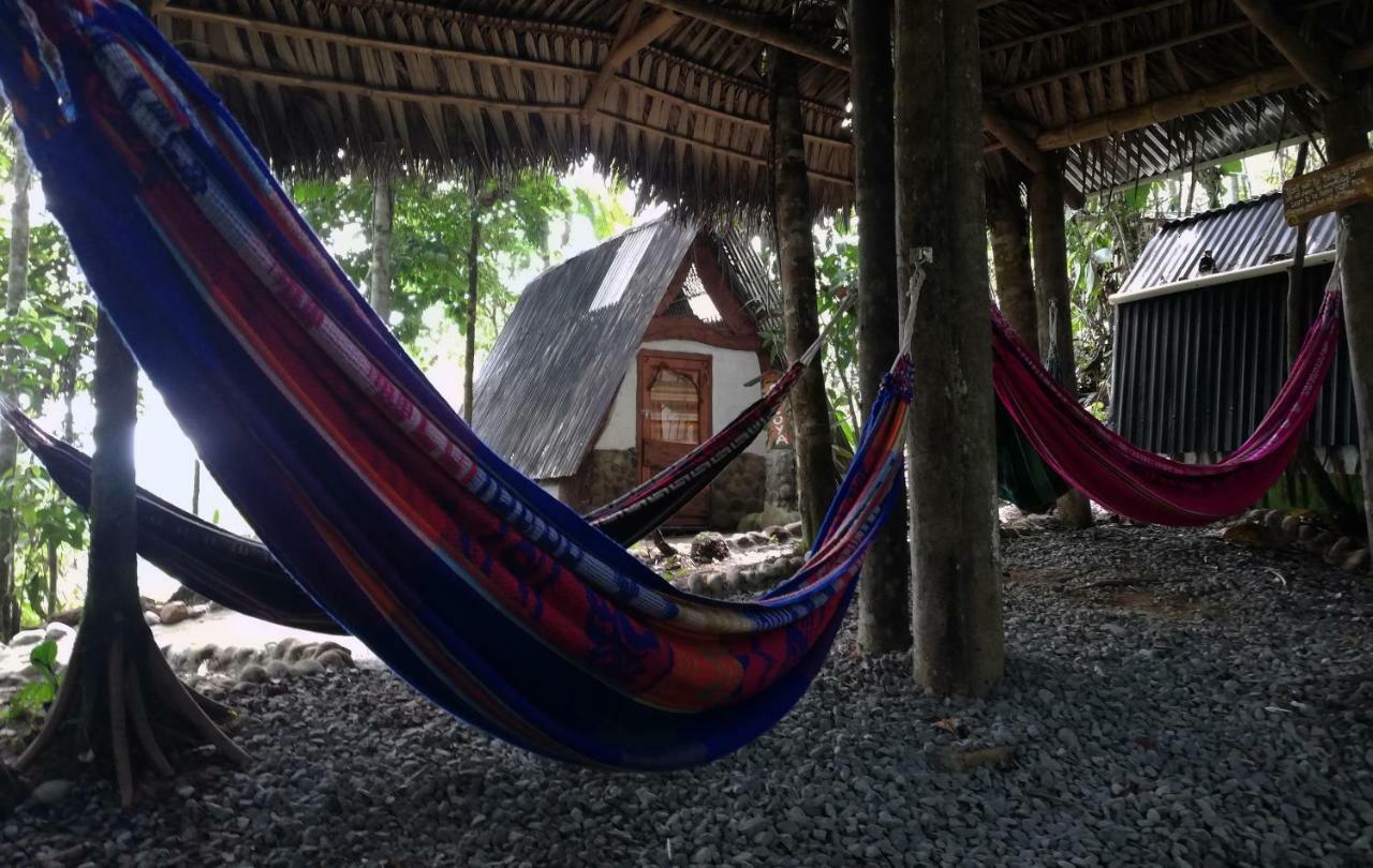 Jungle Roots Otel Tena Dış mekan fotoğraf