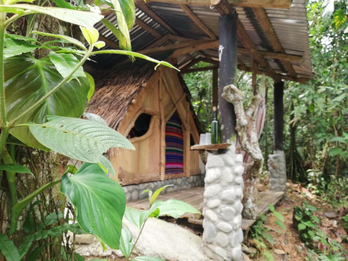 Jungle Roots Otel Tena Dış mekan fotoğraf