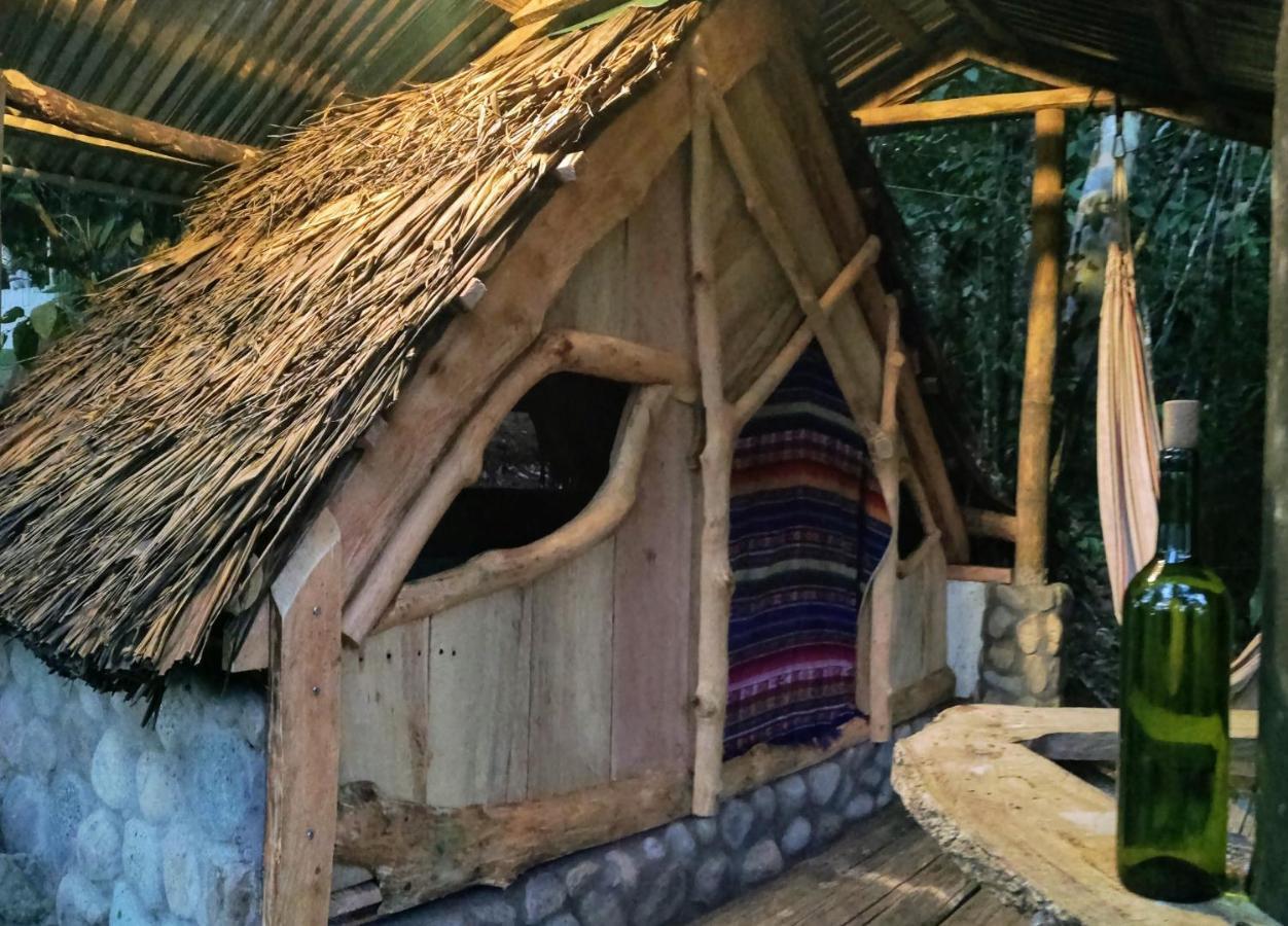 Jungle Roots Otel Tena Dış mekan fotoğraf